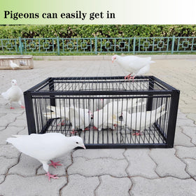 HAYLILUYOO Pigeon Trap Cage side view demonstrates compact, one-way entry for humane capture.