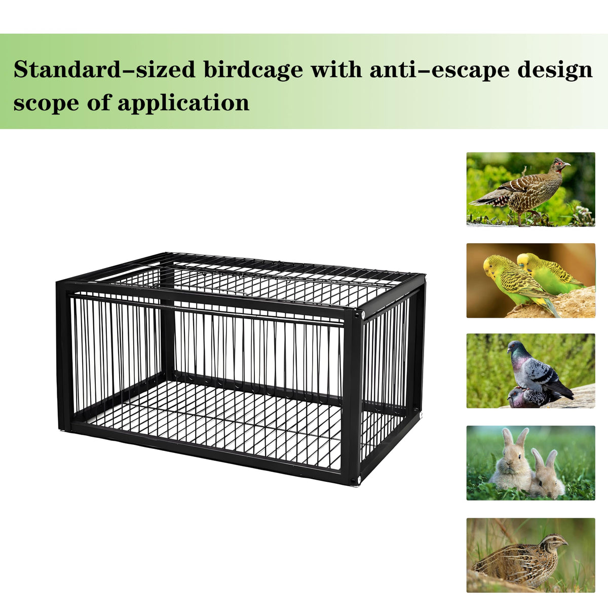 HAYLILUYOO Pigeon Trap Cage skylight view enables quick removal of captured birds.