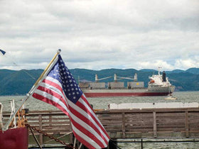 Hayodo grommet-friendly mounting ring supports various flag sizes