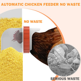 Hayohrt top cover lock deters pests while feeding stays secure.