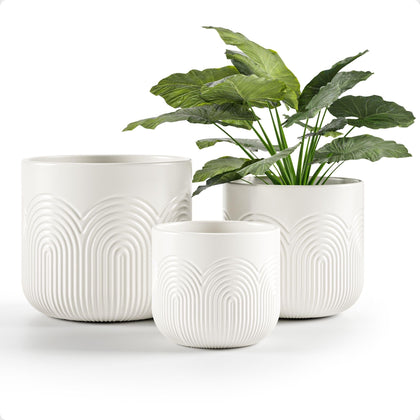 HB Design Co ceramic pots with arched pattern close-up for stylish indoor display