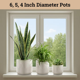 HB Design Co pot highlights drainage hole showing efficient watering control