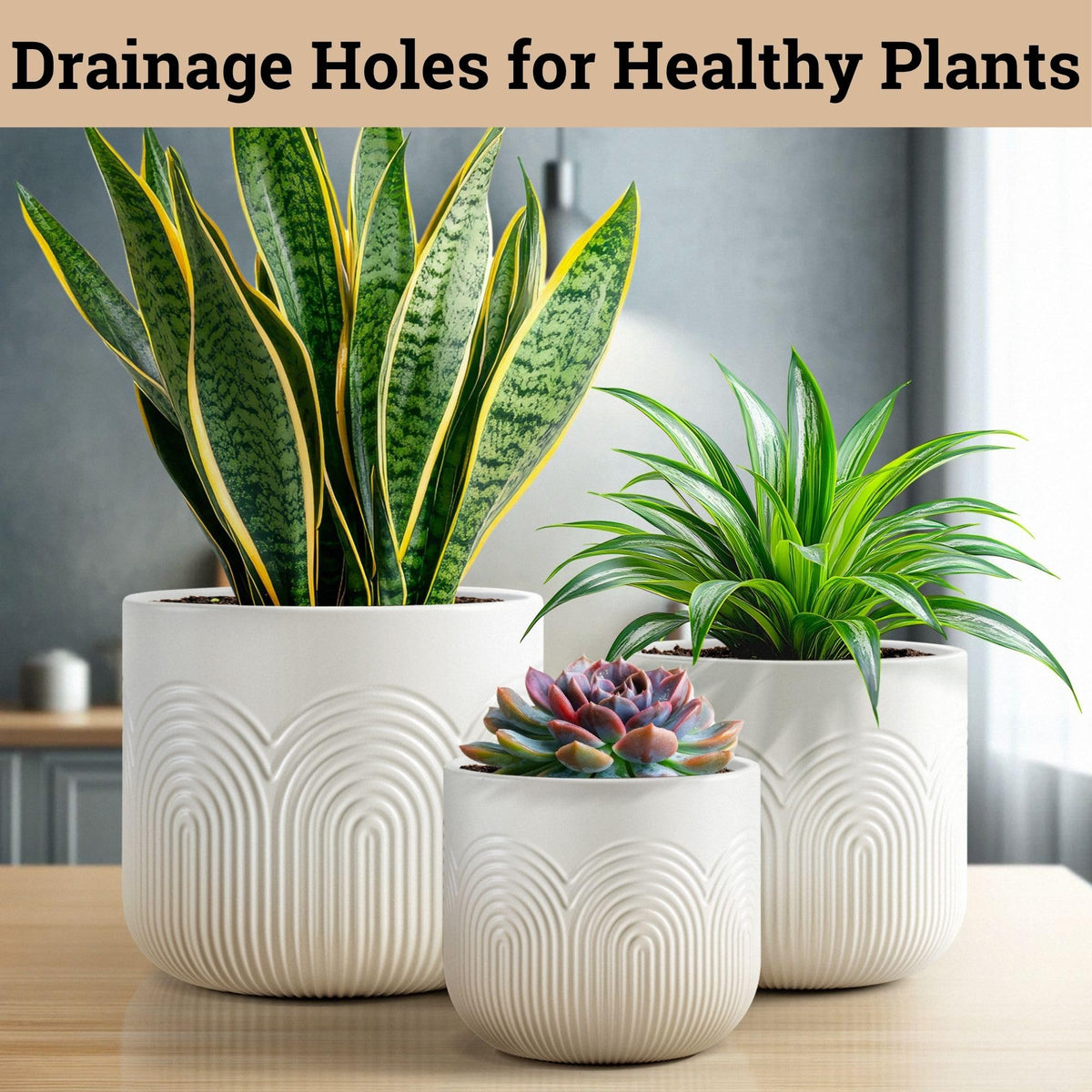 HB Design Co ceramic pots arranged on a shelf to enhance modern decor