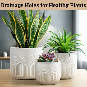 HB Design Co ceramic pots arranged on a shelf to enhance modern decor
