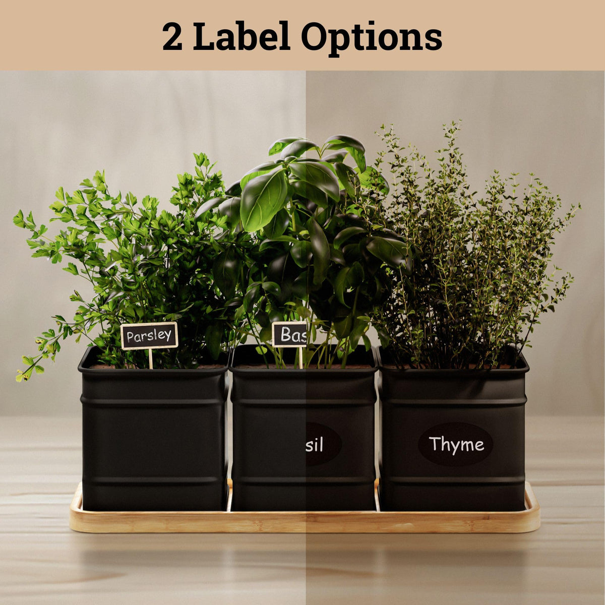 HB Design Co. labeling set with marker pen for herb organization.