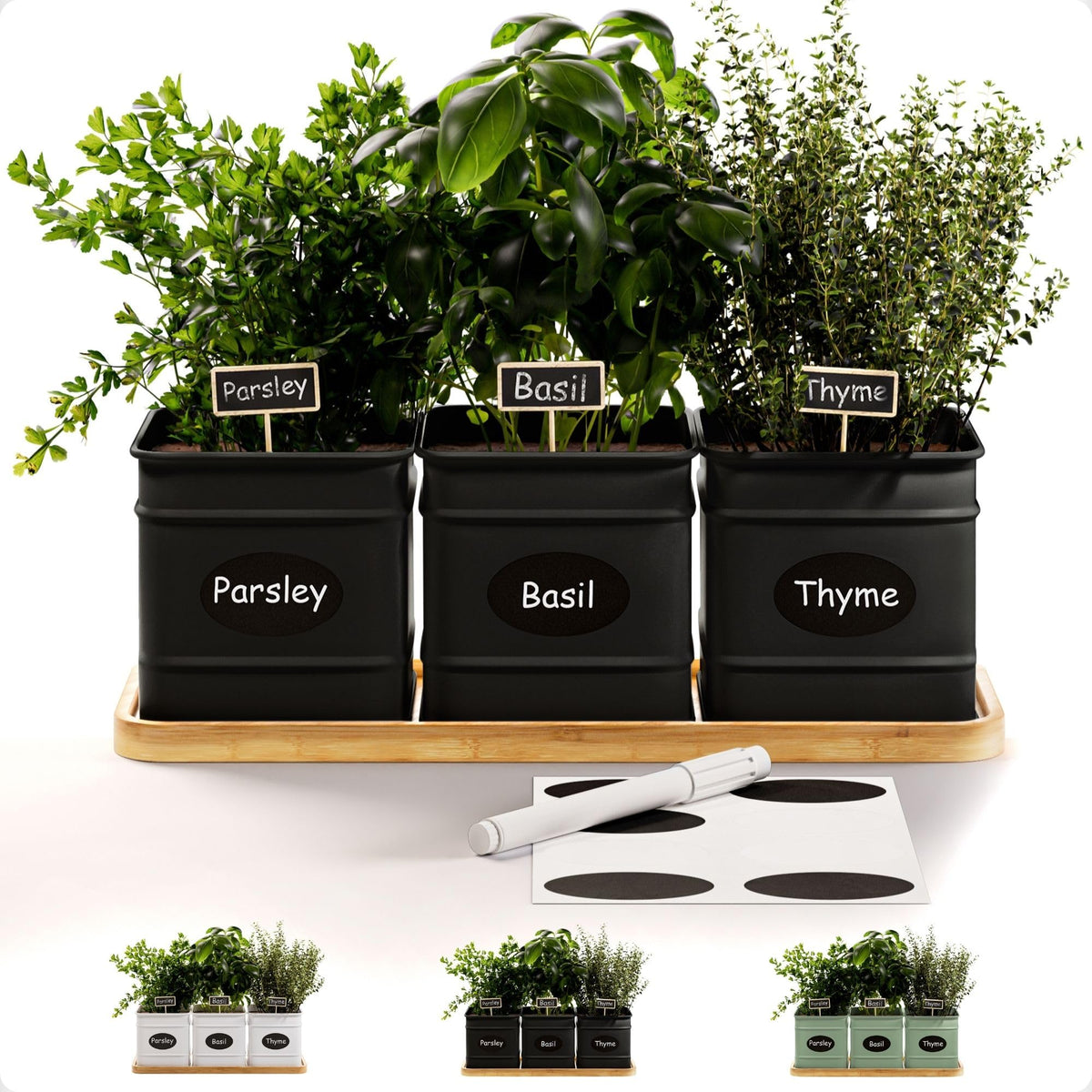 HB Design Co. indoor herb planter with three pots on a sunny windowsill.