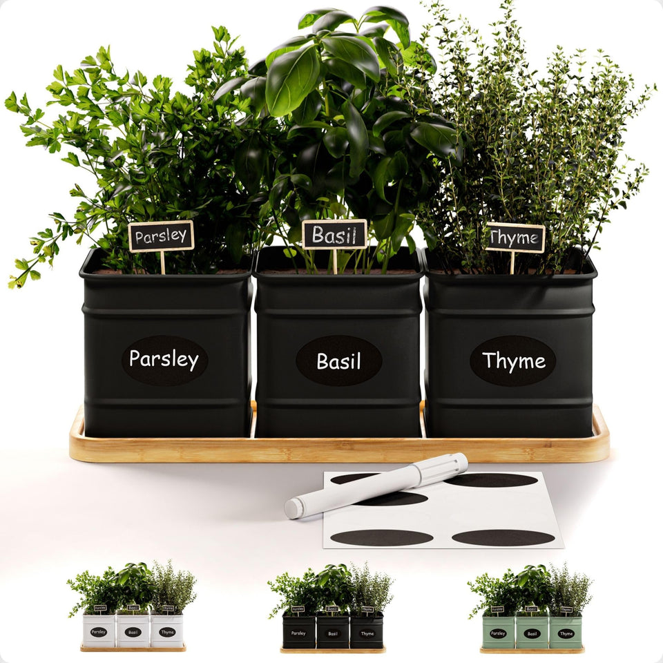 HB Design Co. indoor herb planter with three pots on a sunny windowsill.