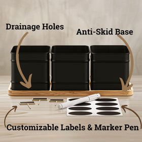 HB Design Co. pots showing four drainage holes for healthy watering.