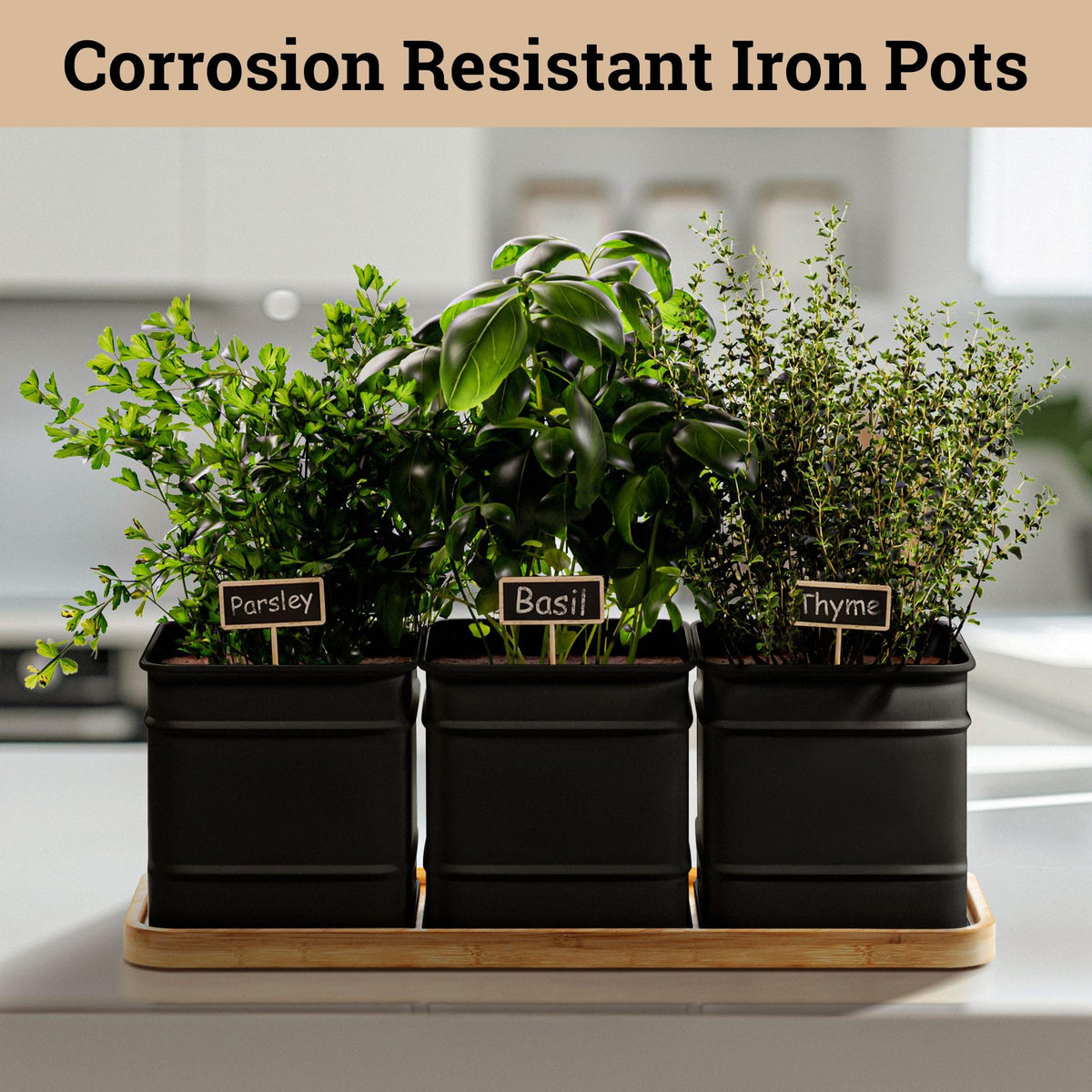 HB Design Co. rust-resistant iron pots designed for durable indoor gardening.