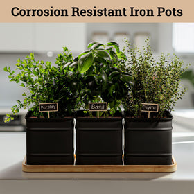 HB Design Co. rust-resistant iron pots designed for durable indoor gardening.