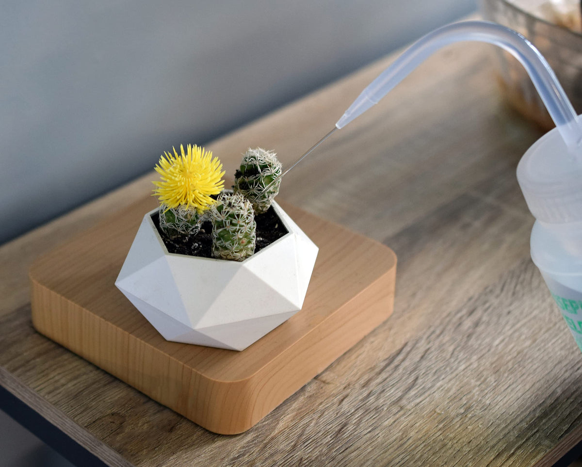 hBARSCI Houseplant Helper angled-nozzle bottle delivering controlled irrigation