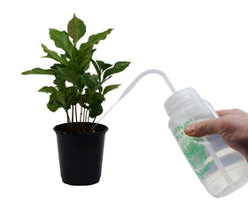 hBARSCI Houseplant Helper weekly irrigation scale on the side