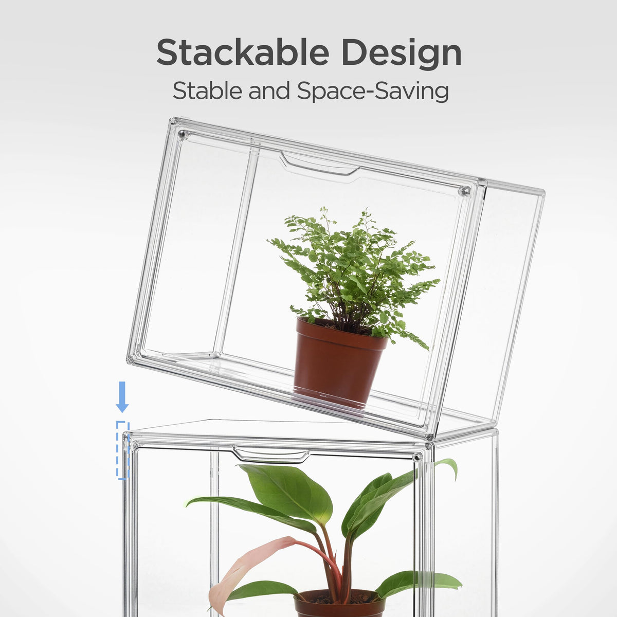 Transparent PET walls offer a 360-degree view of plants.
