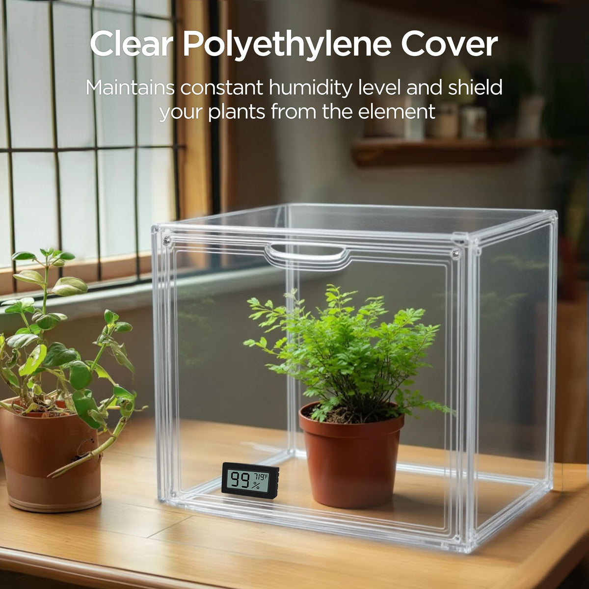Clear, transparent walls suit tabletop use for small plants.