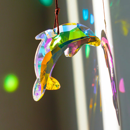 H&D Hyaline & Dora dolphin prism sun catcher creates rainbow hues in sunny windows.