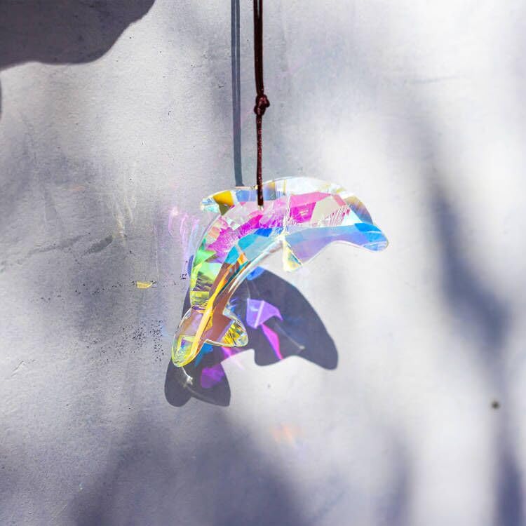 H&D Hyaline & Dora prism sun catcher gift for marine lovers.
