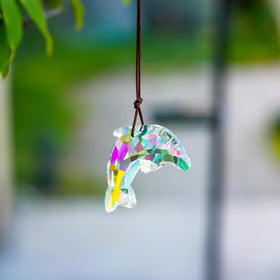 H&D Hyaline & Dora crystal dolphin sun catcher shines under sunlight.