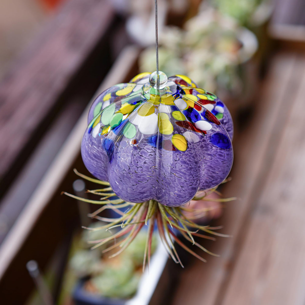 H&D HYALINE & DORA hand-blown glass jellyfish adds whimsy to shelves.