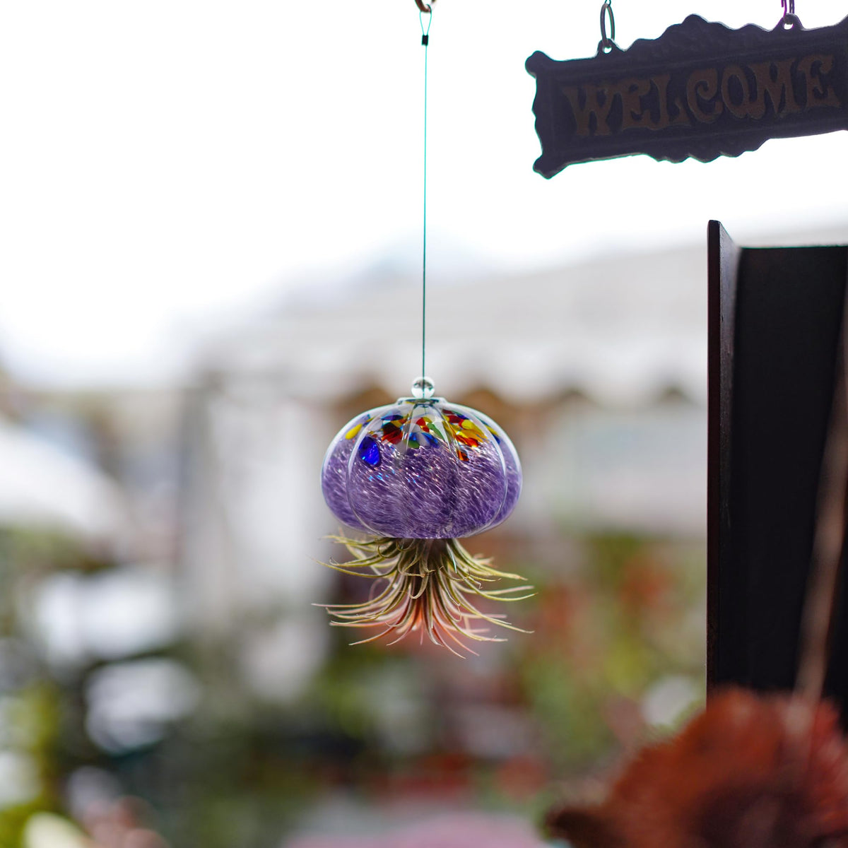 H&D HYALINE & DORA wall-friendly jellyfish hanger for compact spaces.