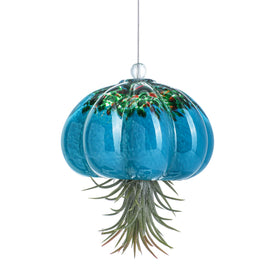 H&D HYALINE & DORA jellyfish glass planter hanging in sunlight highlights air plants