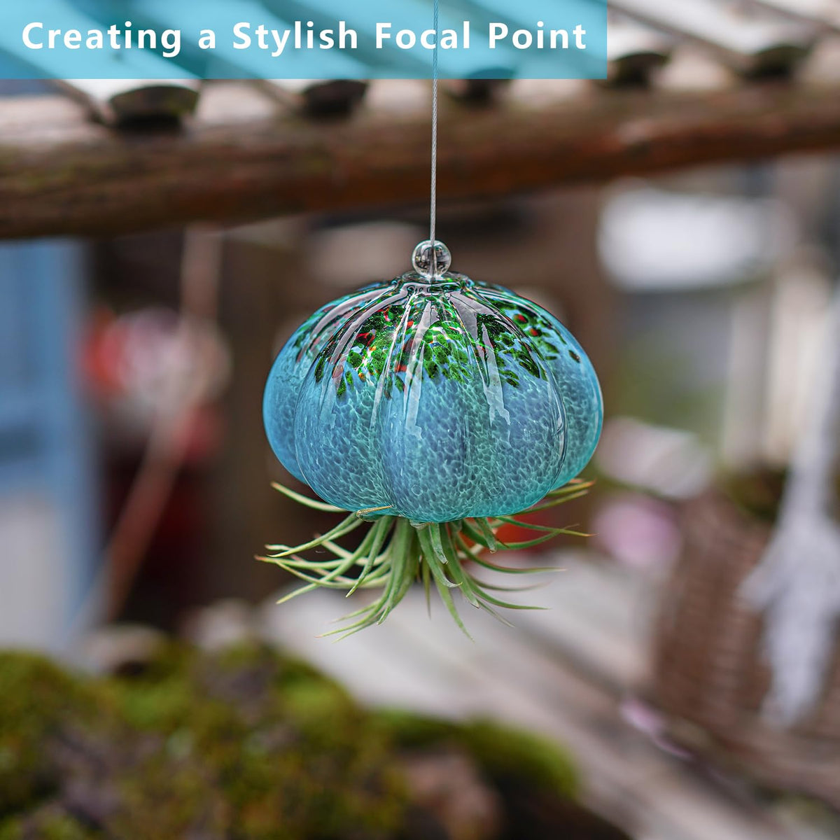 H&D HYALINE & DORA jellyfish air planter blue-green tones brightens windowsill