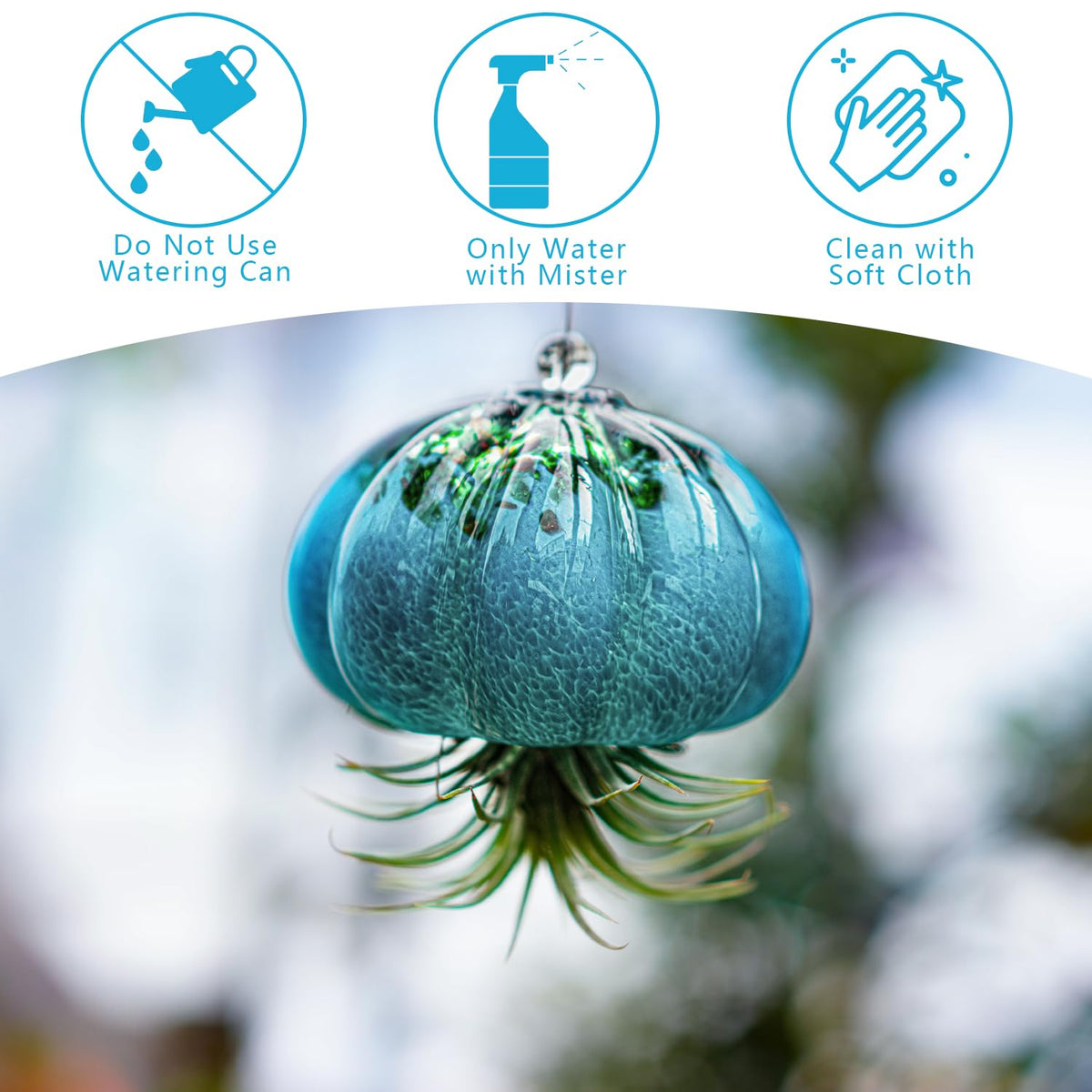 H&D HYALINE & DORA hand blown jellyfish planter fits small succulents securely