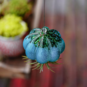 H&D HYALINE & DORA glass jellyfish decor suited for balcony or bathroom hanging