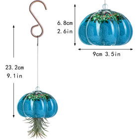 H&D HYALINE & DORA internal hook keeps air plants in place