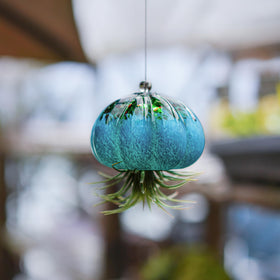 H&D HYALINE & DORA delicate jellyfish shape floats like sea life