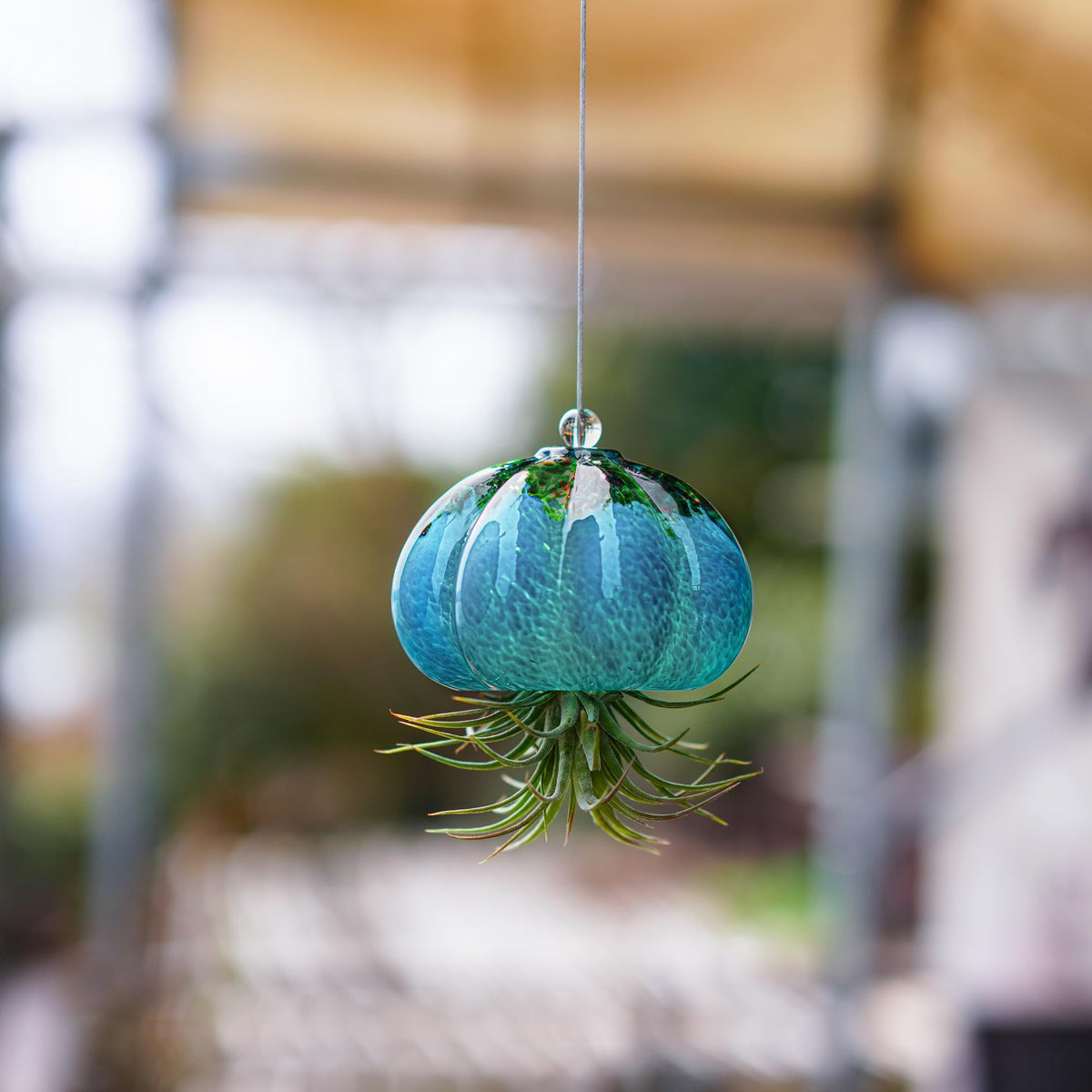 H&D HYALINE & DORA lightweight art glass adds texture to any shelf