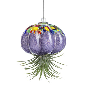 H&D HYALINE & DORA jellyfish air planter hanging in sunlit window for decorative charm.