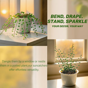 H&D HYALINE & DORA plant lover gift with evergreen charm