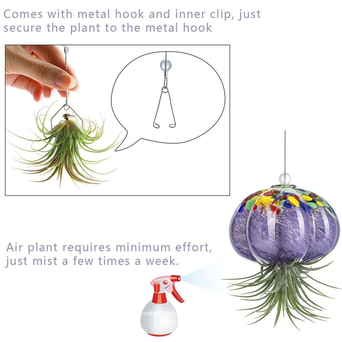H&D HYALINE & DORA purple jellyfish planter enhances windows with light play.