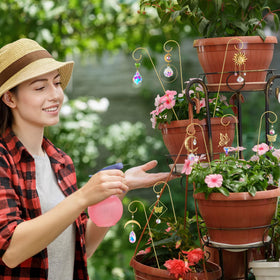 HDCRYSTALGIFTS perfect gift for plant lovers and home decor fans.