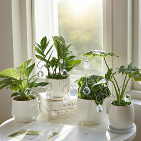 HDCRYSTALGIFTS silver stakes for effortless plant display