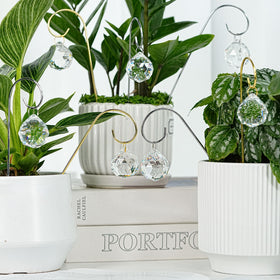 HDCRYSTALGIFTS mini plant decoration adds fairy garden sparkle