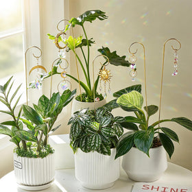 HDCRYSTALGIFTS ready-to-use suncatchers arrive boxed and ready for immediate placement.