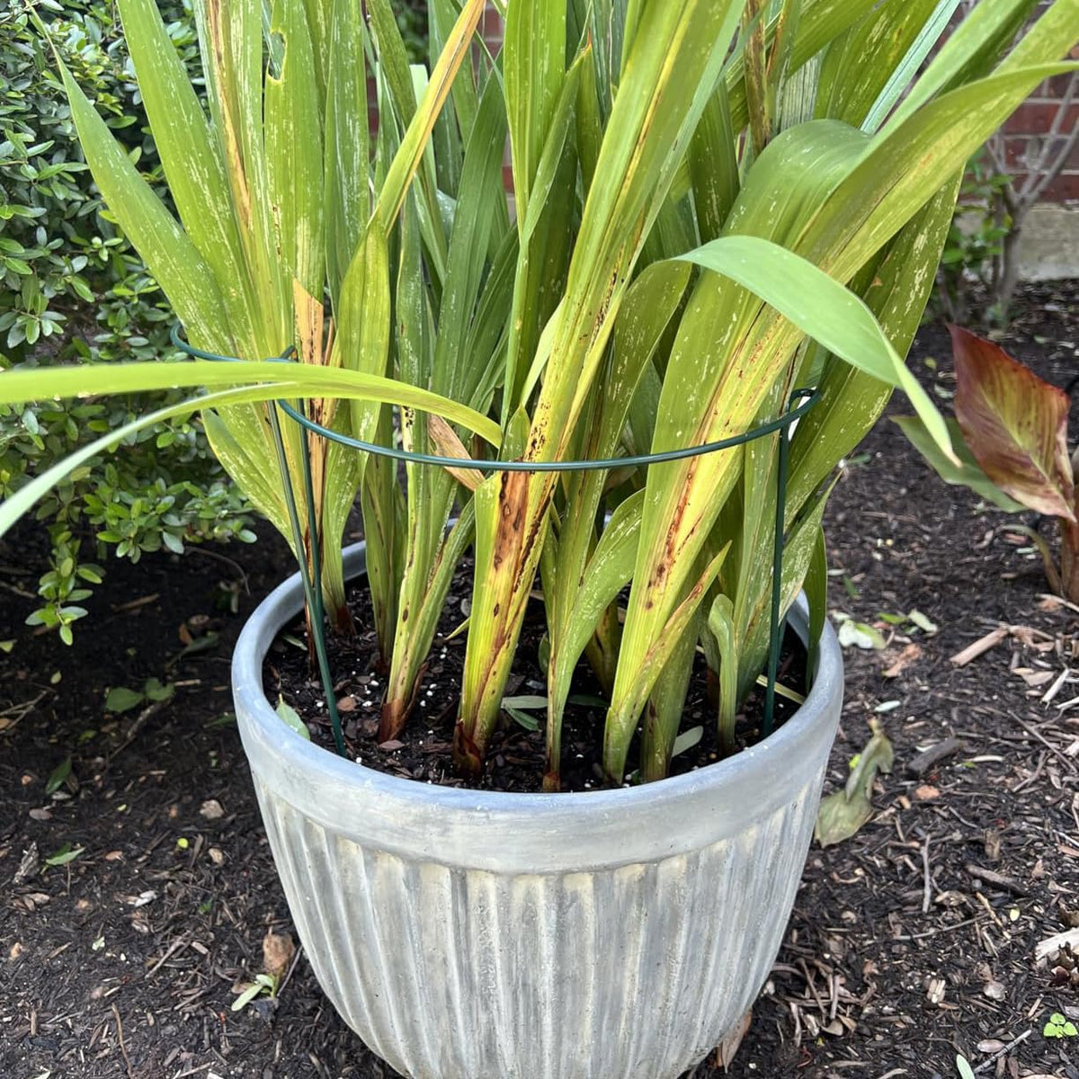 Hdeoops durable stakes withstand sun and rain for seasons