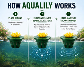 Healthy Ponds AquaLily pond-side dispenser integrated into a decorative water feature.