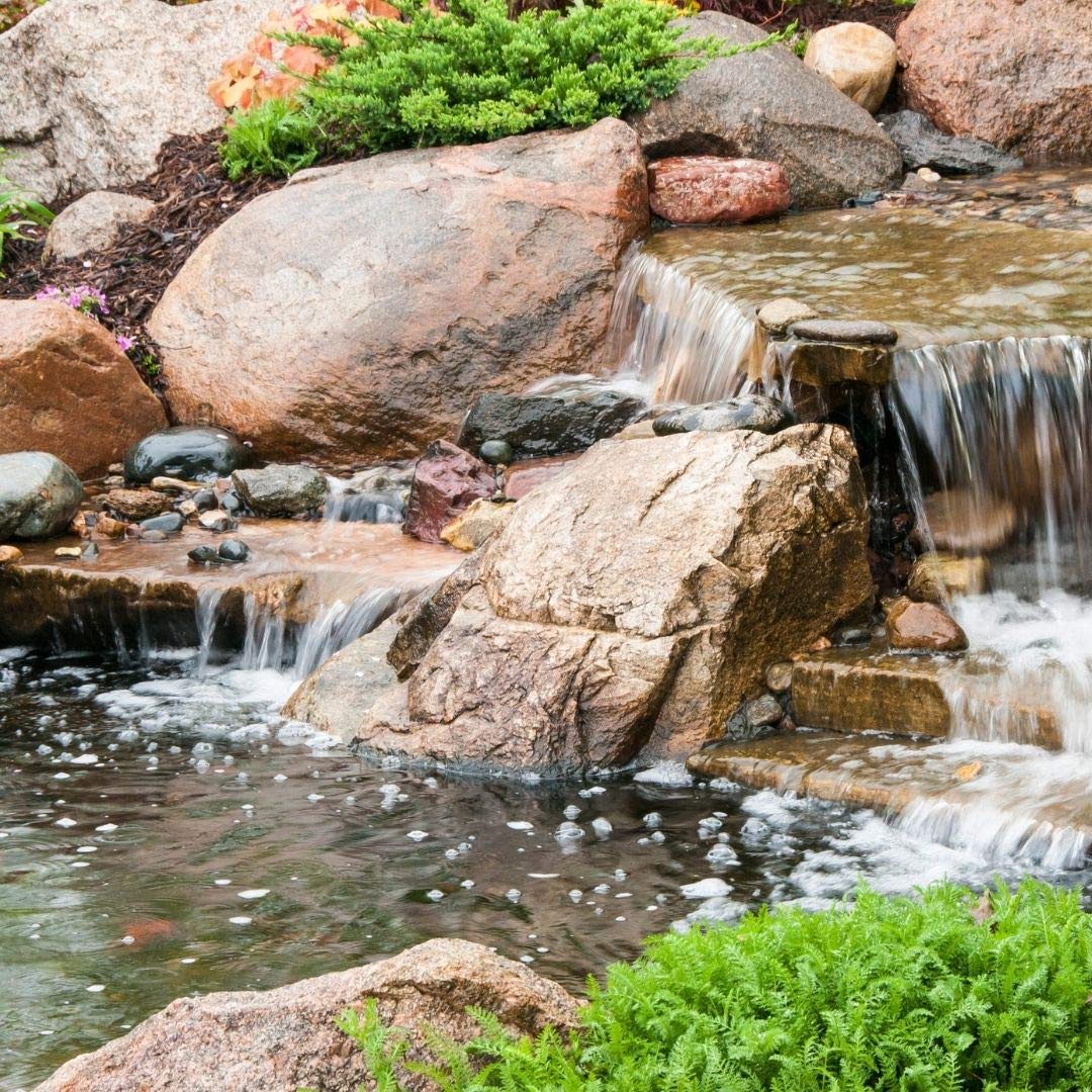 Healthy Ponds Blast bacteria blend supports organic matter reduction in water.