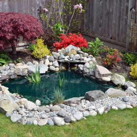 Healthy Ponds Blast treating up to 2,500 gallons per packet in a pond.