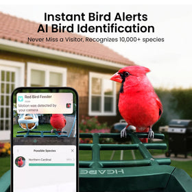 HEAPETS AI bird recognition identifies 10,000+ species during outdoor observation.