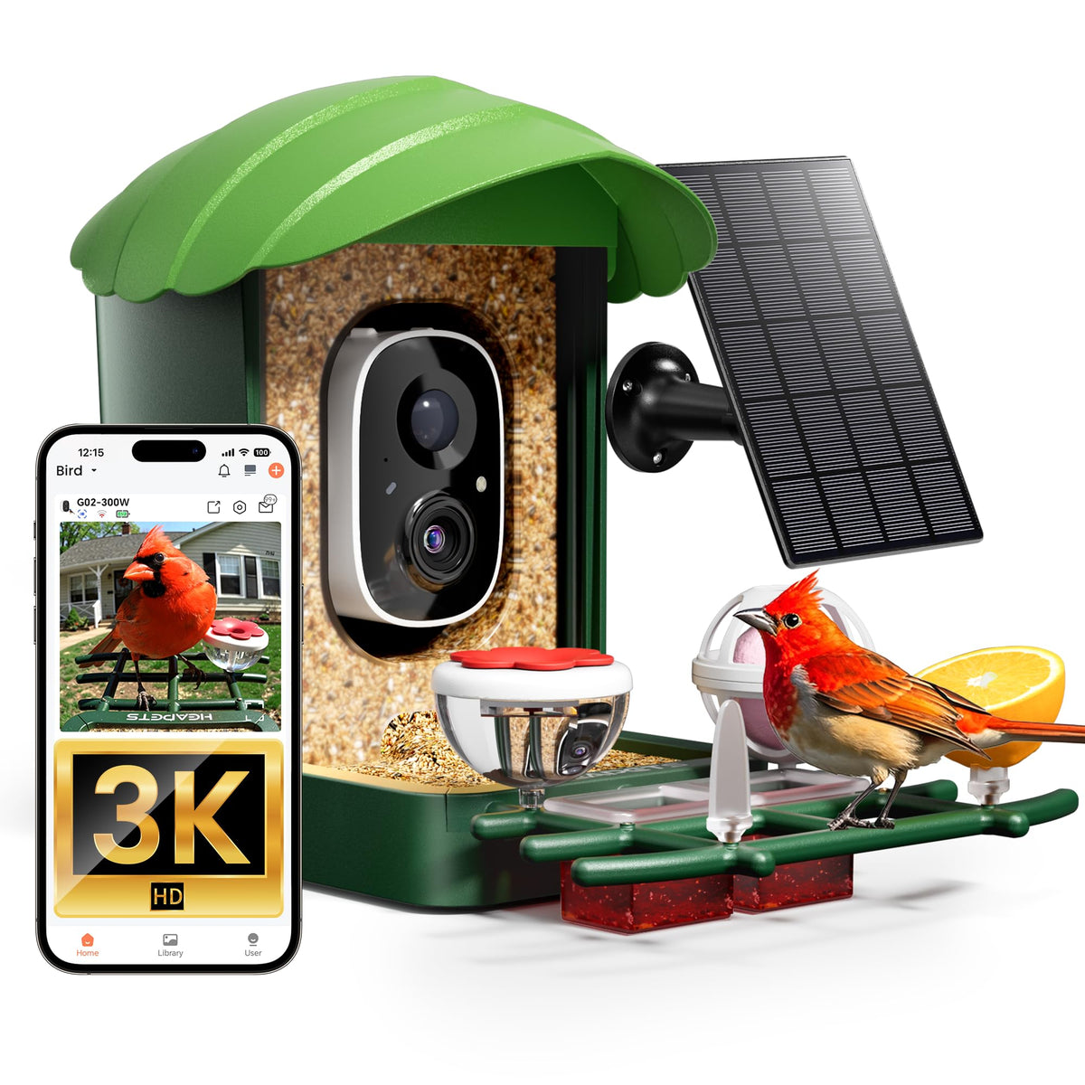 HEAPETS bird feeder camera view enables real time backyard bird watching