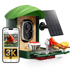 HEAPETS bird feeder camera view enables real time backyard bird watching