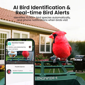 HEAPETS bird feeder motion alerts capture visiting birds instantly