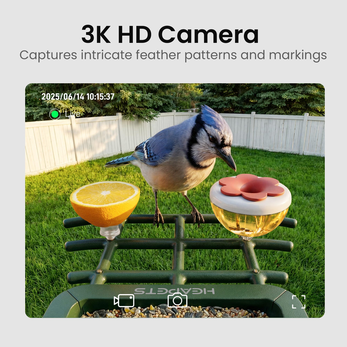 HEAPETS bird feeder night vision for after dark observation