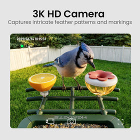 HEAPETS bird feeder night vision for after dark observation