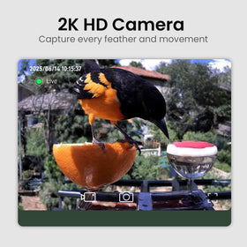 HEAPETS Solar panel roof powers the camera for extended outdoor birdwatching sessions.