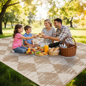 HEBE checkered rug 8x10 reversible views highlight two styles for outdoor living