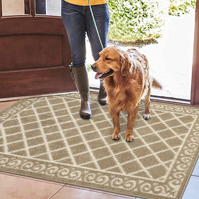 HEBE entryway mat for mud and snow keeps hallways cleaner